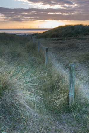 Wallasey Dunes 5 - July 18